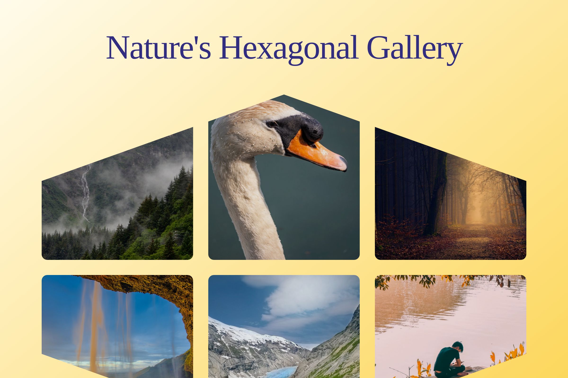 Unusual Image Gallery