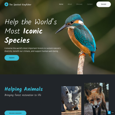 The Spotted Kingfisher