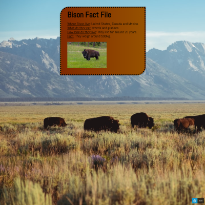 Bison Fact File