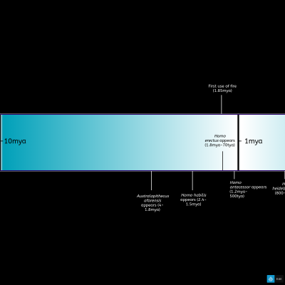 Logarithmic Human Timescale
